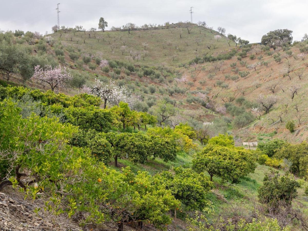 Alojamiento Rural Casa La Era Almogia Luaran gambar